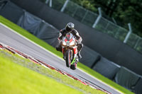 PJ-Motorsport-2019;anglesey;brands-hatch;cadwell-park;croft;donington-park;enduro-digital-images;event-digital-images;eventdigitalimages;mallory;no-limits;oulton-park;peter-wileman-photography;racing-digital-images;silverstone;snetterton;trackday-digital-images;trackday-photos;vmcc-banbury-run;welsh-2-day-enduro
